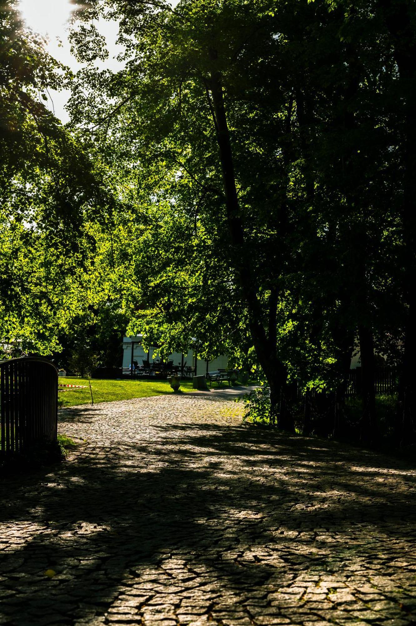 Zamek Dubiecko Hotell Exteriör bild