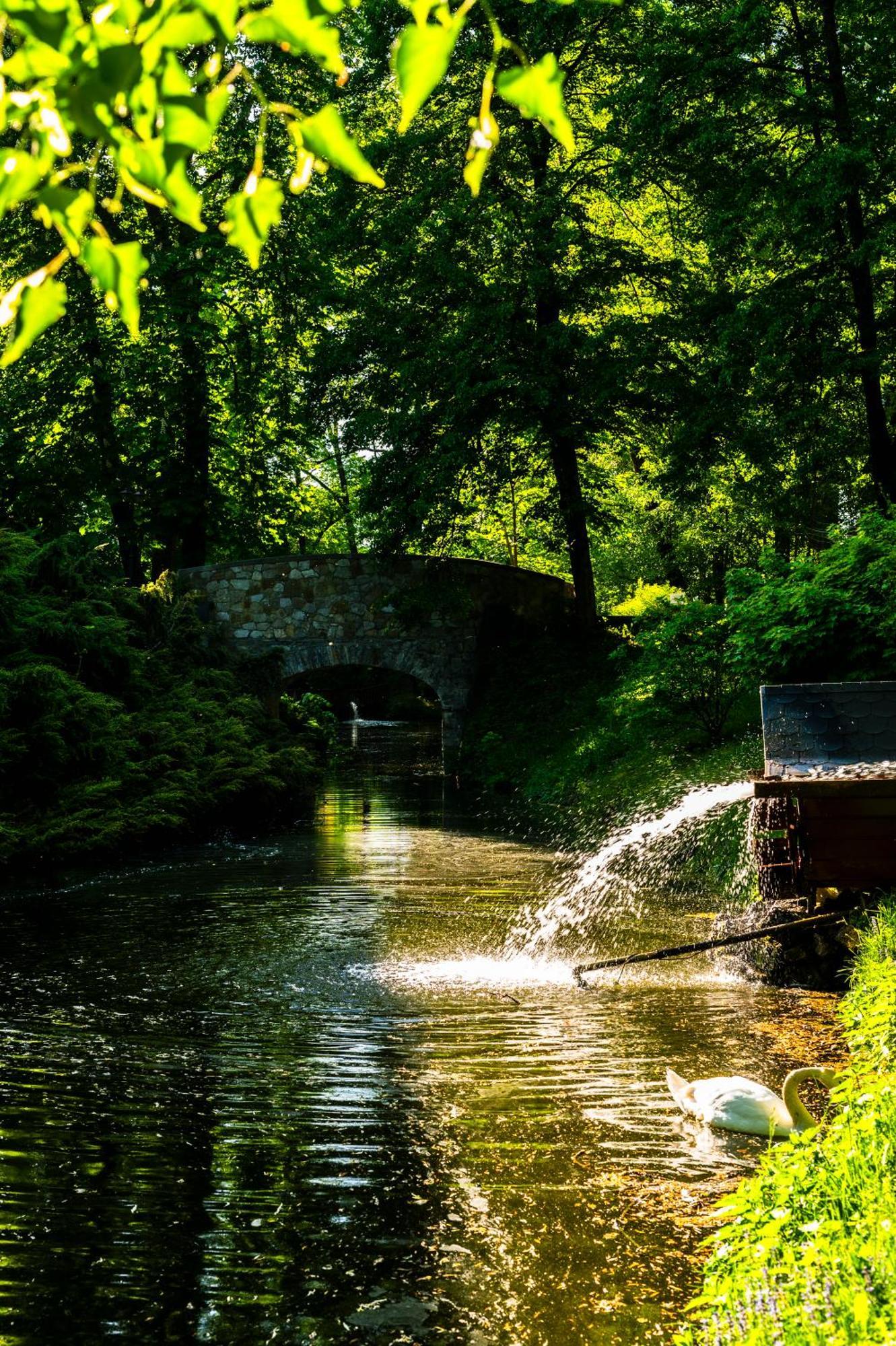 Zamek Dubiecko Hotell Exteriör bild